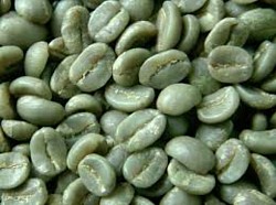 Grano de café limpio. Antes de tostar.